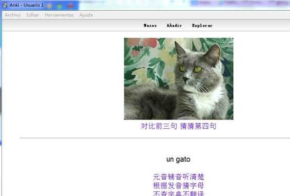 西班牙语翻译学习方法哪些是没有掌握的?