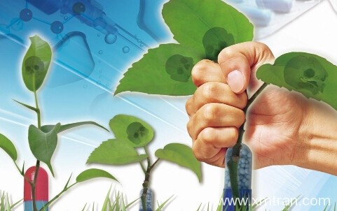 怎么知道自己是否适合医学翻译呢?该有哪些责任?