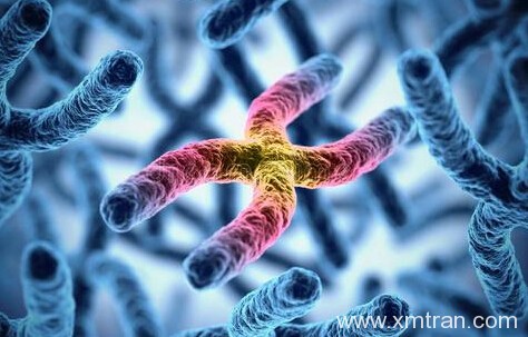 医学翻译的错误方式:做好医学翻译的关键